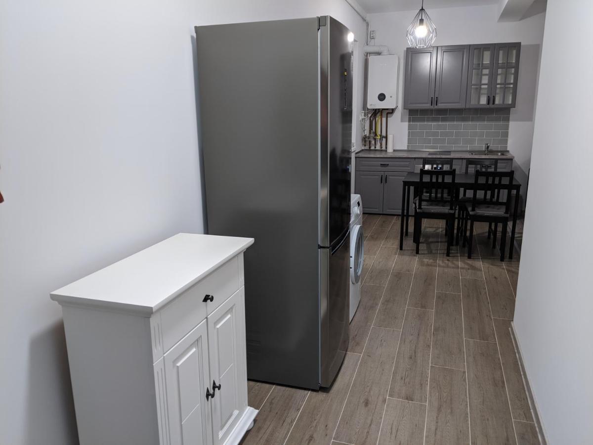 Alina'S Deluxe Apartment And Free Private Parking Dumbravita  Exterior photo